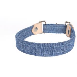 Dog Collar Martingale The Maxwell image 3