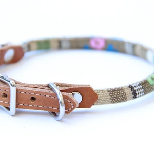 Cat Collar/Small Dog Collar - Beige/Multicolor