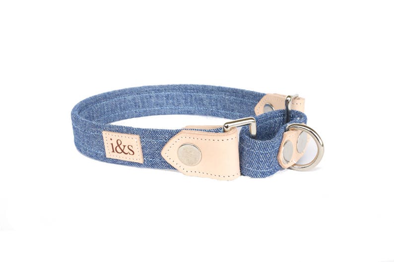 Dog Collar Martingale The Maxwell image 1