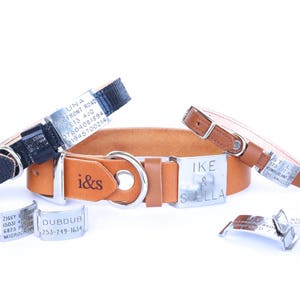 Dog Collar with Textile Sleeve Holiday Edition Lavender Optional ID Tag image 5