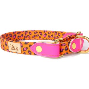 Dog Collar - Martingale - The Pebbles Orange