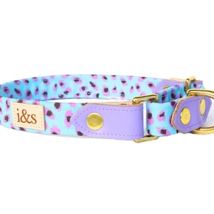 Dog Collar - Martingale - The Pebbles Blue