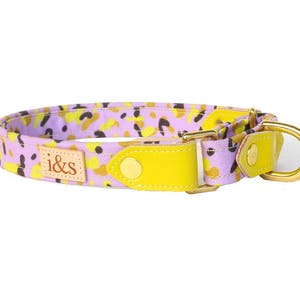 Dog Collar - Martingale - The Bonnie