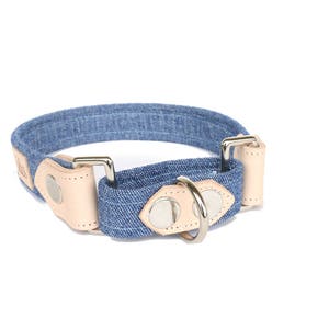 Dog Collar Martingale The Maxwell image 2