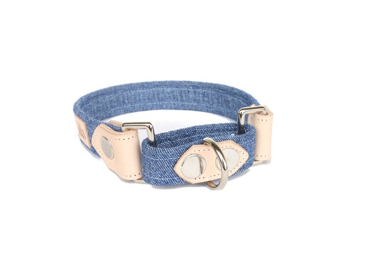 Dog Collar Martingale The Maxwell image 2