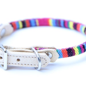 Cat Collar or Small Dog Collar - Confetti