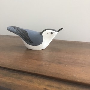 Shelf White-breasted Nuthatch