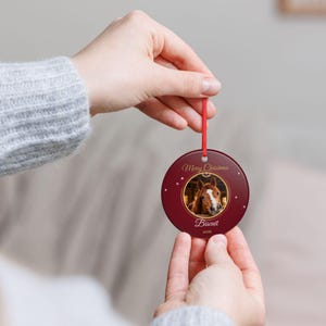 Personalised Horse Photo Christmas Ornament, Custom Horse Name Bauble 2026, Equestrian Christmas Gift, Horse Owner Tree Decoration Bild 8