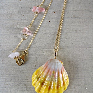 Sunrise Shell Necklace, Sunrise Shell Pendant, Sunrise Shell Jewelry, Hawaii Shell Necklace, Shell Pendant, Seashell Jewelry, Yellow Shell image 4