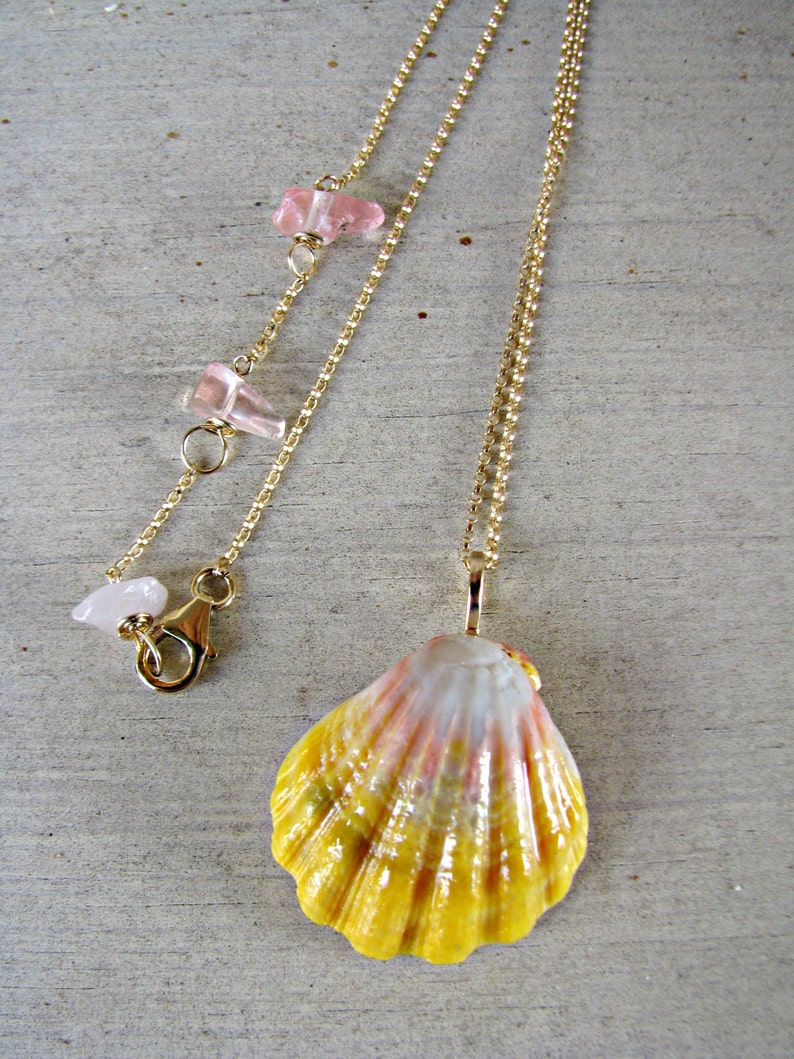 Sunrise Shell Necklace, Sunrise Shell Pendant, Sunrise Shell Jewelry, Hawaii Shell Necklace, Shell Pendant, Seashell Jewelry, Yellow Shell image 4