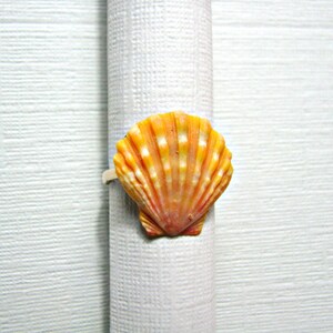 Sunrise Shell Ring, Sunrise Shell Jewelry, Hawaii Seashell Ring, Rare ...