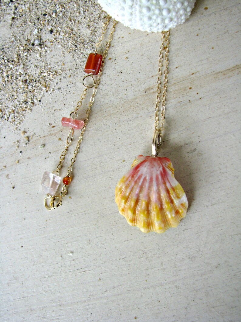 Sunrise Shell Necklace Hawaii Shell Pendant Hawaii Seashell Etsy
