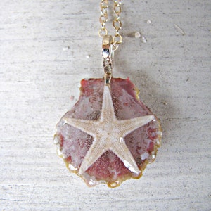 Sunrise Shell Necklace, Sunrise Shell Pendant, Sunrise Shell Jewelry, Hawaii Shell Necklace, Shell Pendant, Seashell Jewelry, Yellow Shell image 3