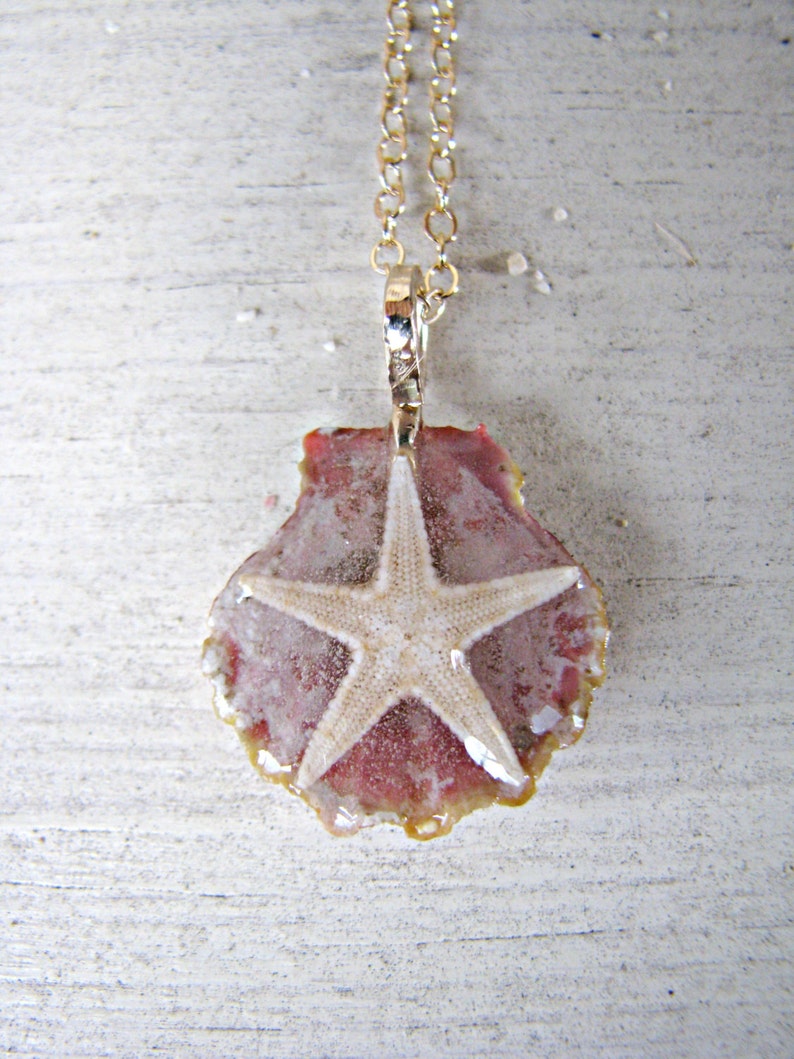 Sunrise Shell Necklace, Sunrise Shell Pendant, Sunrise Shell Jewelry, Hawaii Shell Necklace, Shell Pendant, Seashell Jewelry, Yellow Shell image 3