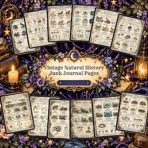 May include: A collection of rectangular junk journal pages featuring vintage natural history illustrations of animals, insects, and fungi. Each page contains detailed scientific diagrams, text, and sketches on a cream-coloured background.