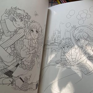 May include: Two-page spread from a coloring book featuring detailed line art illustrations. One page shows two people with flower garlands and a cat. The other page depicts a group of people on a roller coaster with a castle in the background.
