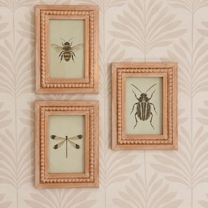 May include: Three rectangular wall frames with light brown wooden borders featuring a beaded texture. Each frame contains a light-colored print of an insect: a bee, a dragonfly, and a beetle, displayed against a pale background with a leaf pattern.