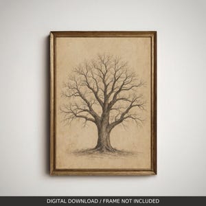 Könnte beinhalten: Ein gerahmter Kunstdruck mit einer detaillierten Kohlezeichnung eines blattlosen Laubbaums mit komplexen Ästen. Das Kunstwerk befindet sich auf einem strukturierten, hellbraunen, pergamentfarbenen Hintergrund in einem Goldrahmen.