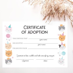 May include: A printable certificate of adoption for a pet. The certificate features a cute cartoon cat with a party hat and says "This certifies that (your name) has adopted (pet's name) fur and eye color."  The certificate also includes a space for a signature and date.