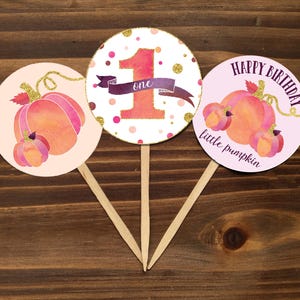 Unsere kleine Kürbis Geburtstagsparty druckbare PDF DIY Cupcake Toppers - Sofortiger Download - Herbst Kleine Kürbis Geburtstagskuchen
