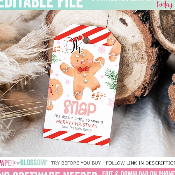 Oh Snap Gingerbread Cookie Merry Christmas Gift Tag - Little treat for someone sweet Christmas Gift Tag - Baking Cookie Holiday Gift Tag