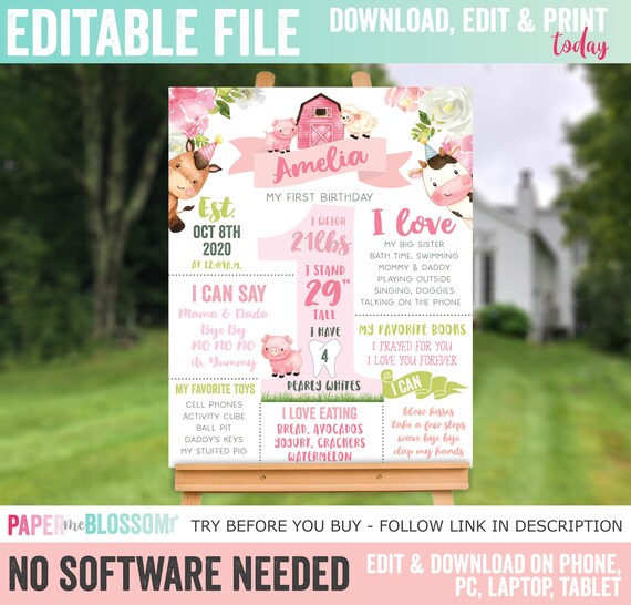 EDITABLE Farm Floral Farm Animal Barnyard First Birthday Stats.