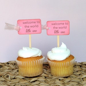 Baby Girl... Vintage Baby Shower (welcome to the world) Cupcake Toppers.