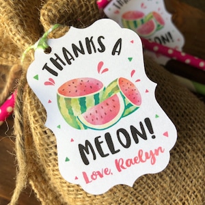 12 Watermelon Thanks a Melon CUSTOM Birthday favor tags - One in a Melon First Birthday Favor Tags - Custom Name