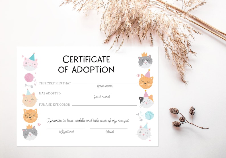 May include: A printable certificate of adoption for a pet. The certificate features a cute cartoon cat with a party hat and says "This certifies that (your name) has adopted (pet's name) fur and eye color."  The certificate also includes a space for a signature and date.