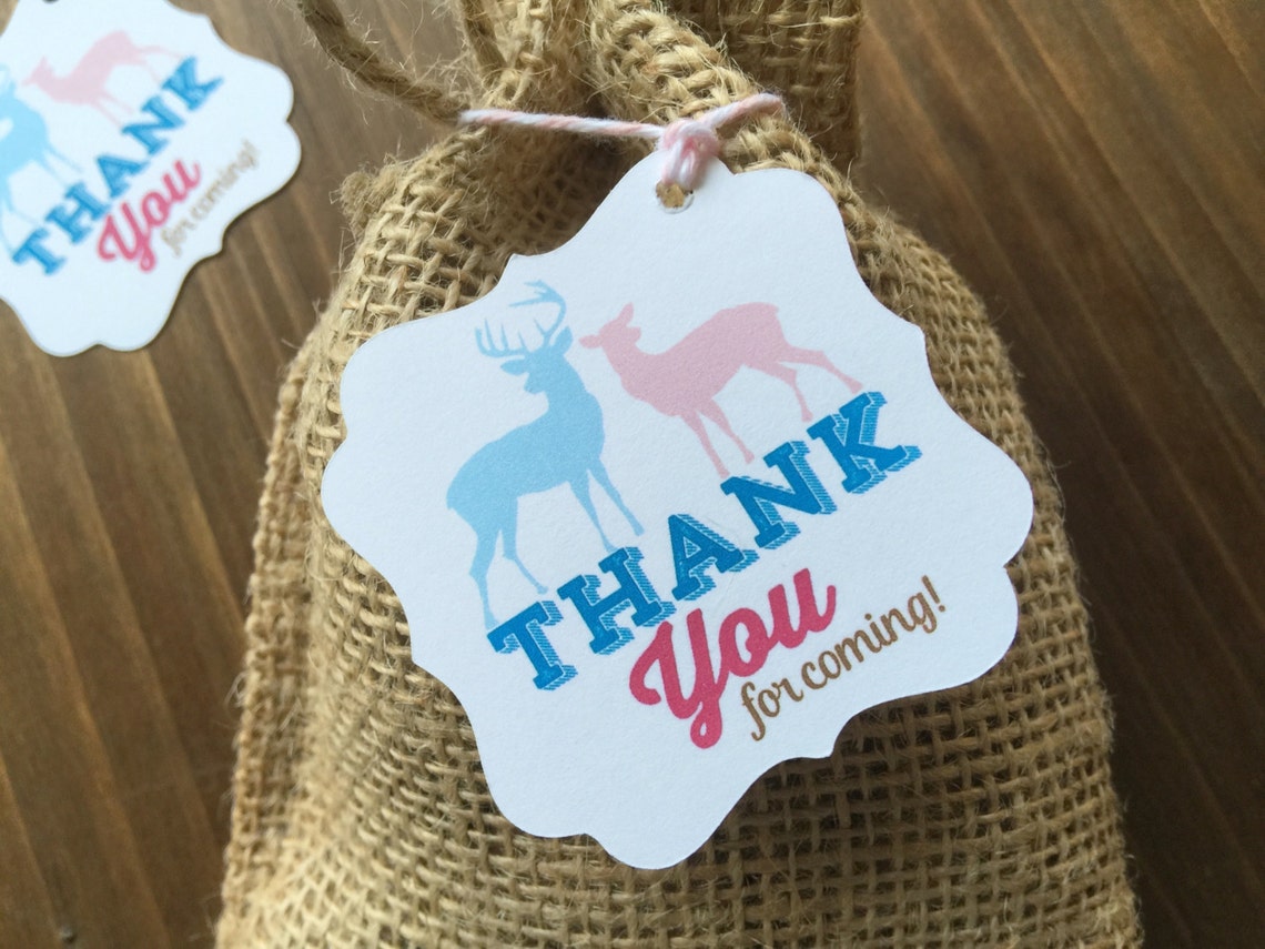 Buck Or Doe Gender Reveal Party Kit - Complete Decorations Set With Balloons & Banner