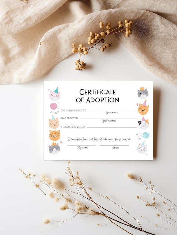 Printable Are you Kitten Me Right Meow Certificate of Adoption - Cat DIY Printable Certificate - Kitten Adoption Print INSTANT DOWNLOAD 5X7