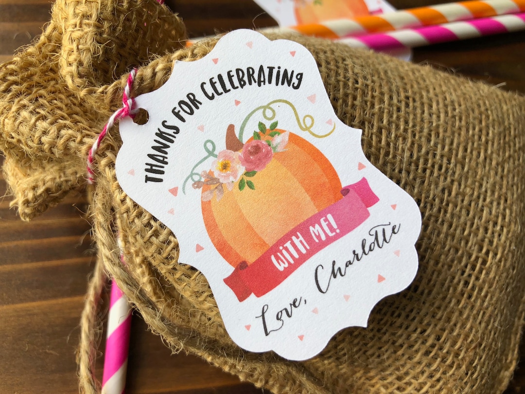12 Custom Little Pumpkin Pink Birthday Thank You Favor Tags - Fall ...