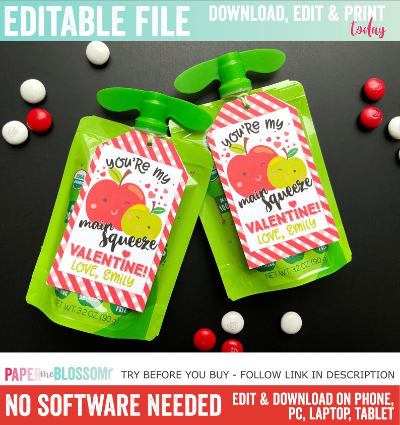 May include: Two red and white striped Valentine's Day gift tags with an apple and a green apple graphic. The tags say "You're my main squeeze Valentine! Love, Emily". The tags are attached to green pouches with a red and white striped design.