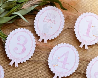 12 One Silly Goose Girl Birthday Photo Milestone Banner - NB to 12 month Silly Goose First Birthday Photo Banner - Pink Gingham Silly Goose