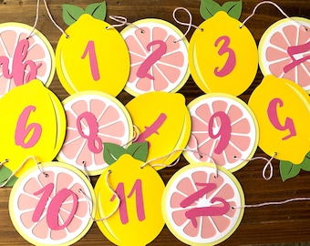 Pink Lemonade Citrus First birthday photo banner - Pink Lemon First Birthday Photo Garland - 12 month first year photo Banner - NB to 12