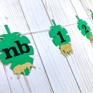 12 Month Wild ONE wild Animal Jungle First Birthday Photo Milestone Banner - NB to 12 month Wild ONE Safari Tropical Leaf Banner