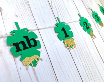12 Month Wild ONE wild Animal Jungle First Birthday Photo Milestone Banner - NB to 12 month Wild ONE Safari Tropical Leaf Banner