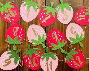 Strawberry First birthday photo banner - Strawberry Shortcake First Birthday Photo Garland - 12 month first year photo Banner - NB to 12