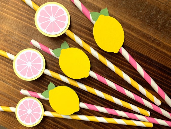 12 Pink Lemonade Birthday Party Paper Drinking Straws - Lemon slice paper Straws - Lemon Party drinking decoration