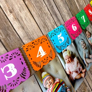 NB to12 Month First Fiesta Papel Picado Photo Milestone Banner - NB to 12 month Fiesta Photo Banner - Fiesta Photo Banner