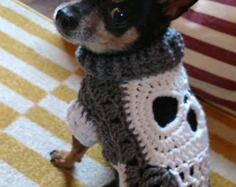 May include: A small black and brown dog wearing a gray and white crocheted sweater with a skull design.
