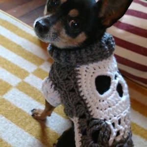 PATTERN 2 patterns in one. Make your own Skull sm/xs Dog Sweater Jacket Scarf or Any pet clothes from a Square motif crochet DIY Tutorial image 1