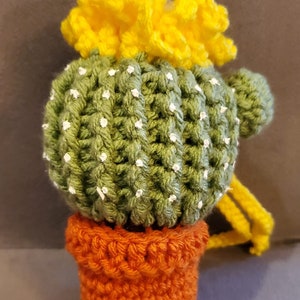 D & D Cactus Dice - Etsy