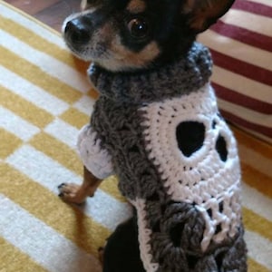 May include: A small black and brown dog wearing a gray and white crocheted sweater with a skull design. The sweater has a white crocheted trim.