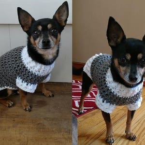 Handmade crochet dog sweater / vest / coat in Skull Size SX to Small Pick your colors image 5