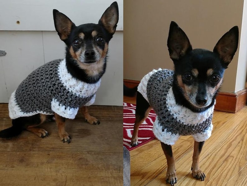 Handmade crochet dog sweater / vest / coat in Skull Size SX to Small Pick your colors image 5