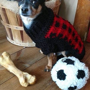 May include: A small black and brown chihuahua wearing a red and black knitted sweater, sitting on a wooden floor with a white and black soccer ball and a bone.