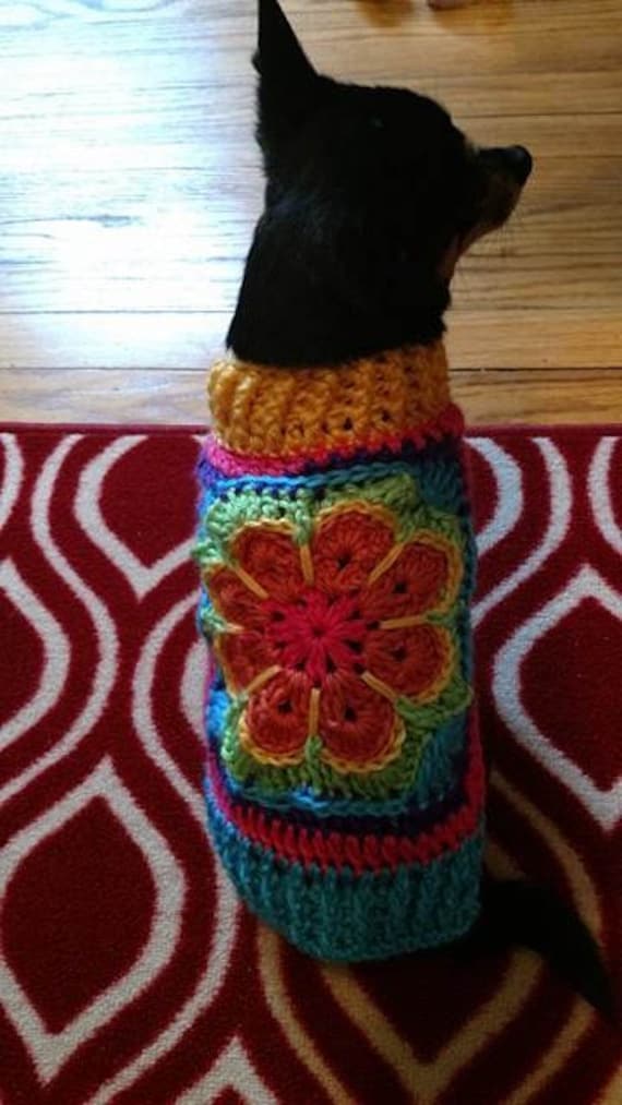 Granny square shop dog sweater