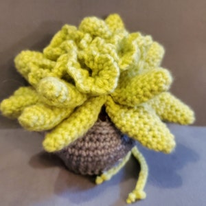 Succulent Dice Bag Dungeons and Dragons D20 D10 D8 D4 Custom Color D&D  Role Playing Game Gamer RPG trinket bag Coin purse Pouch crochet