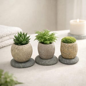May include: Three small, rounded stone planters each resting on a flat, circular grey stone base. The first contains a spiky green succulent, the second a small green fern, and the third a dense, rounded patch of bright green moss.